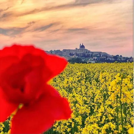 Italian Experience- Bellaluce 18